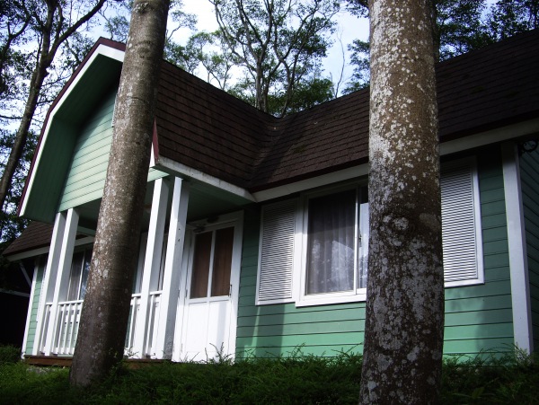 IMGP1665-1.jpg