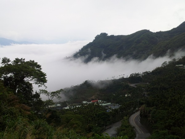阿里山雲海