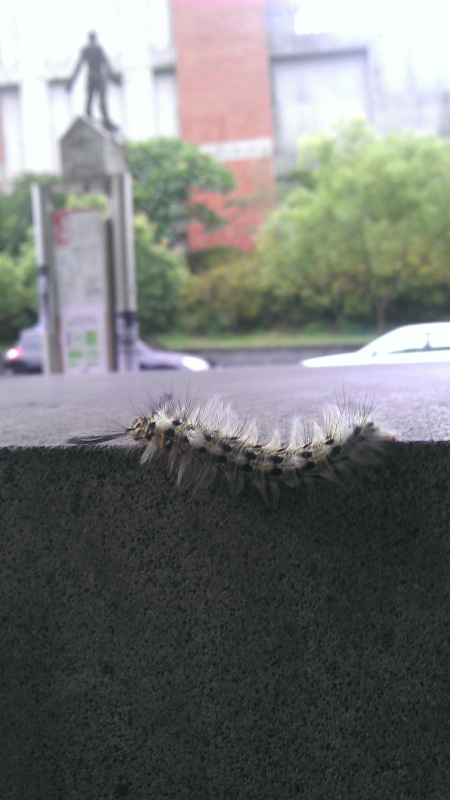 唉啊! 被發現了~