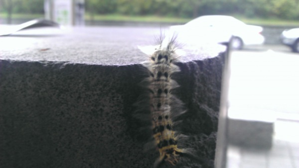 唉~ 好啦! 我說, 我說. 最近股票跌很多, 自己多保重. 千萬別相信明牌, 多上 WooGii 就對了.  ... ... ... . ...