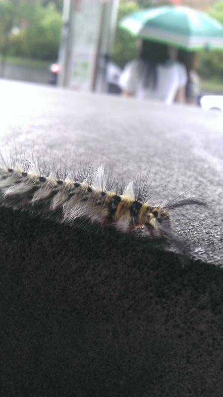 我真的要走了啦...