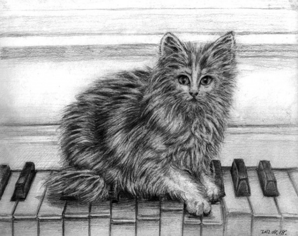 ACatSketch2.jpg