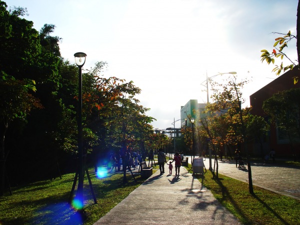 DSC07766_1.jpg