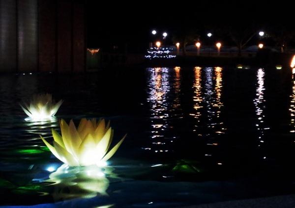20121021_184235_1.jpg