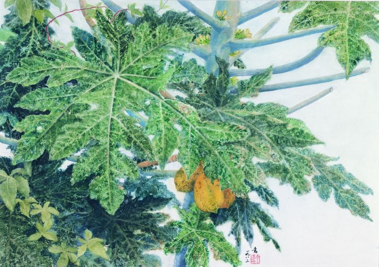 木瓜樹 42x62cm 1982 水墨設色