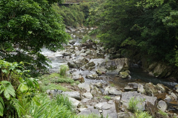 金瓜寮溪流