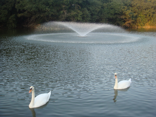 DSC01290.JPG