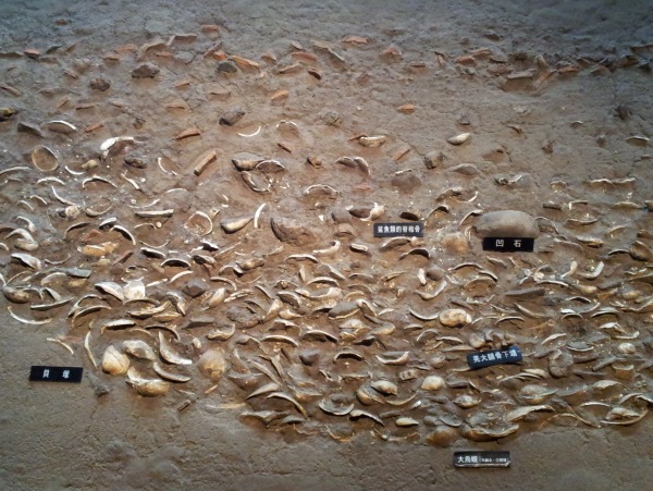 2012-06-25 17.18.17.jpg