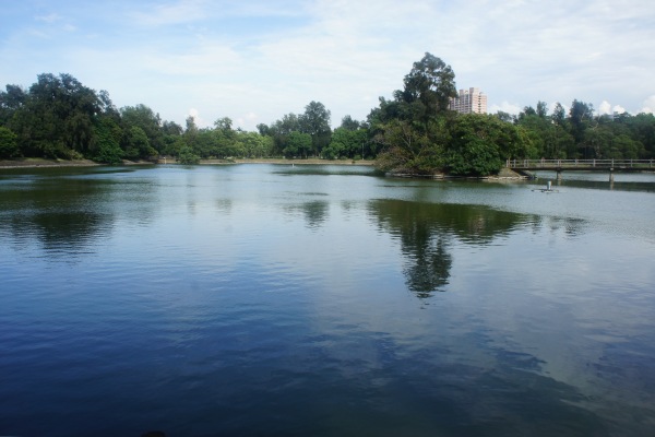DSC02990.JPG